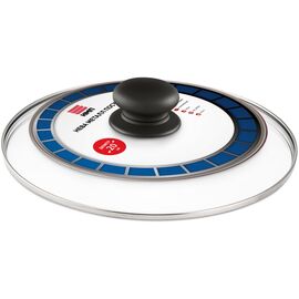  Крышка Нева Металл Посуда 43020 стекл. с метал. ободом 20 см 