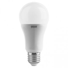  Лампочка Gauss 73235 Elementary A67 25W 