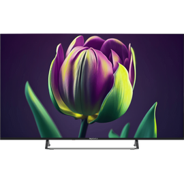  55” Телевизор TopDevice TDTV55CS06UBK черный 3840x2160, 4K Ultra HD, 60 Гц, Wi-Fi, Smart TV, Wildred 
